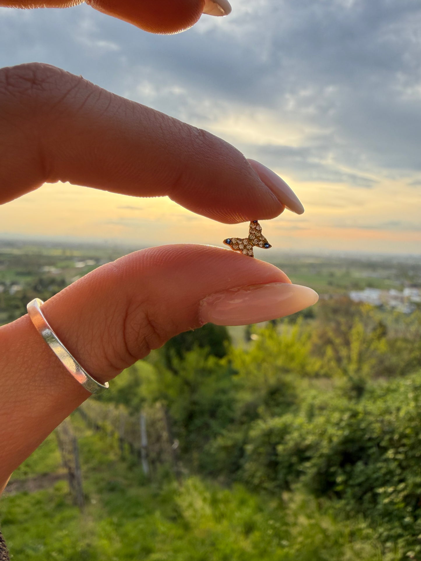 Auré Charms